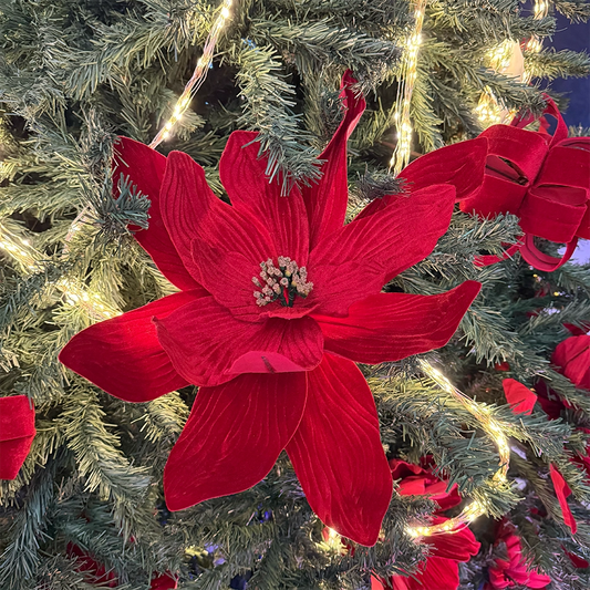 Stella di Natale Rossa Decorativa – Ø 40 cm, L 70 cm