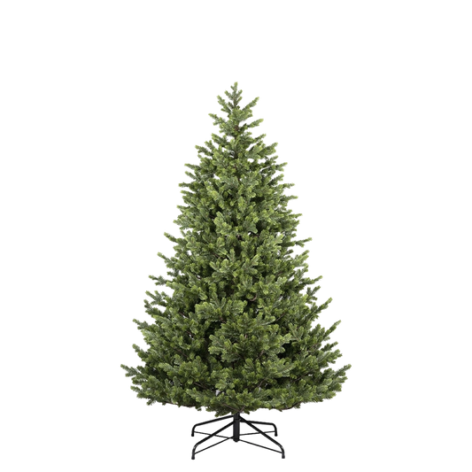 FLRCOMO210_0x00000000353583D0.webp