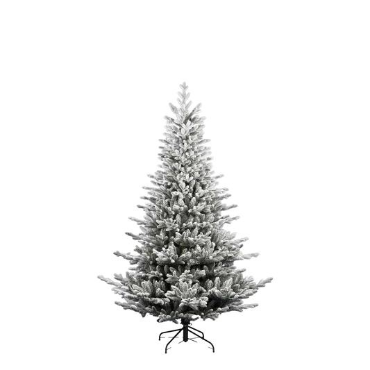 FLRNOELFLOCK210_0x0000000035373F52.webp