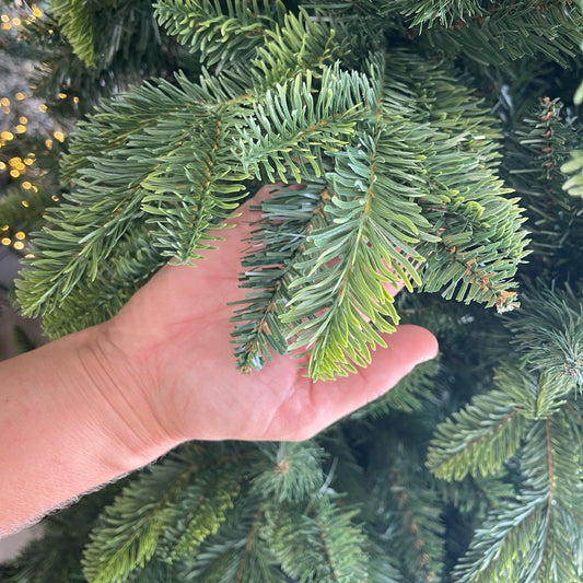 Albero di Natale Artificiale Parco – PE+PVC Rami Realistici e Folti (H 210 cm / 240 cm)