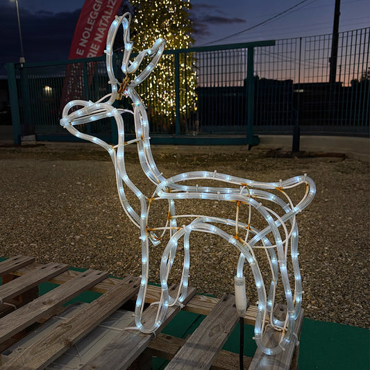 Renna con Slitta Illuminata a LED Bianco, 264 LED