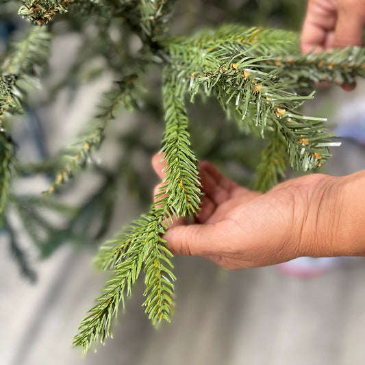 Albero di Natale Artificiale Patagonia – Design Iper-Realistico e Folto (Varie Altezze)