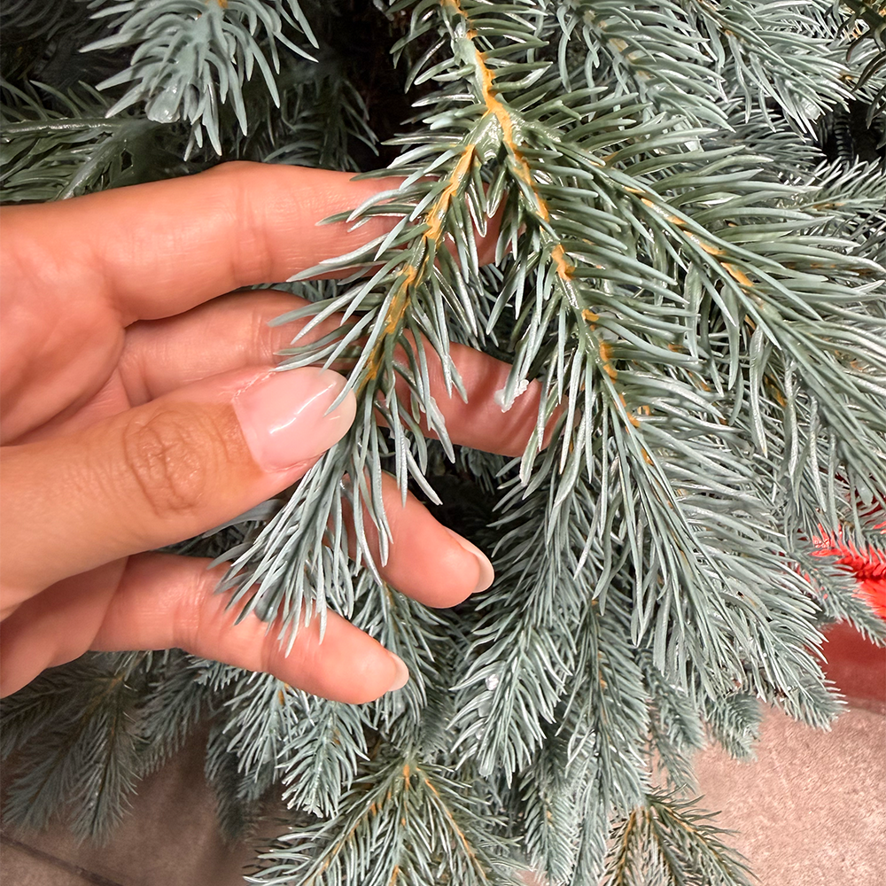 FLR008642_0x000000003A4698AA.webp