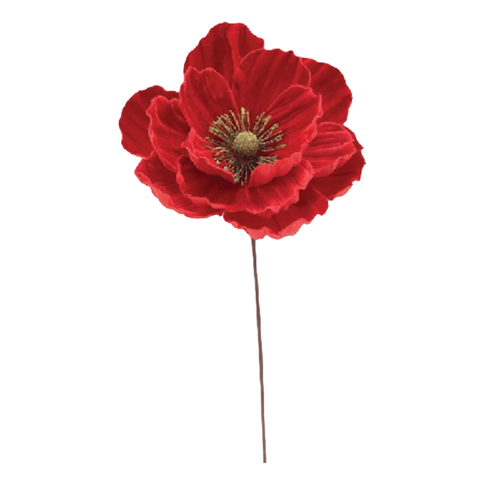 Magnolia Rossa Natalizia – Ø 25 cm, L 65 cm