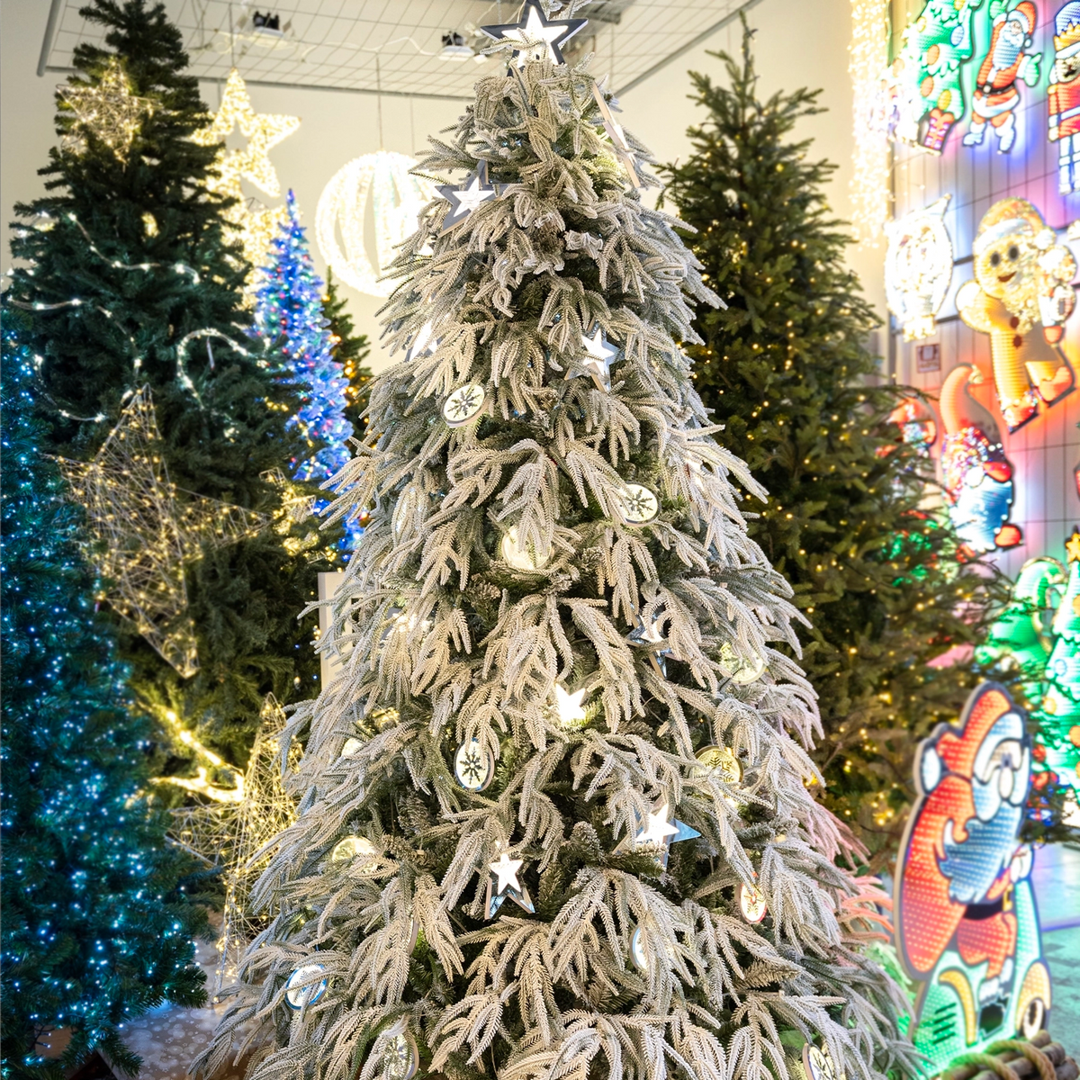 FLRCRYSTAL180_0x000000003A46605F.webp
