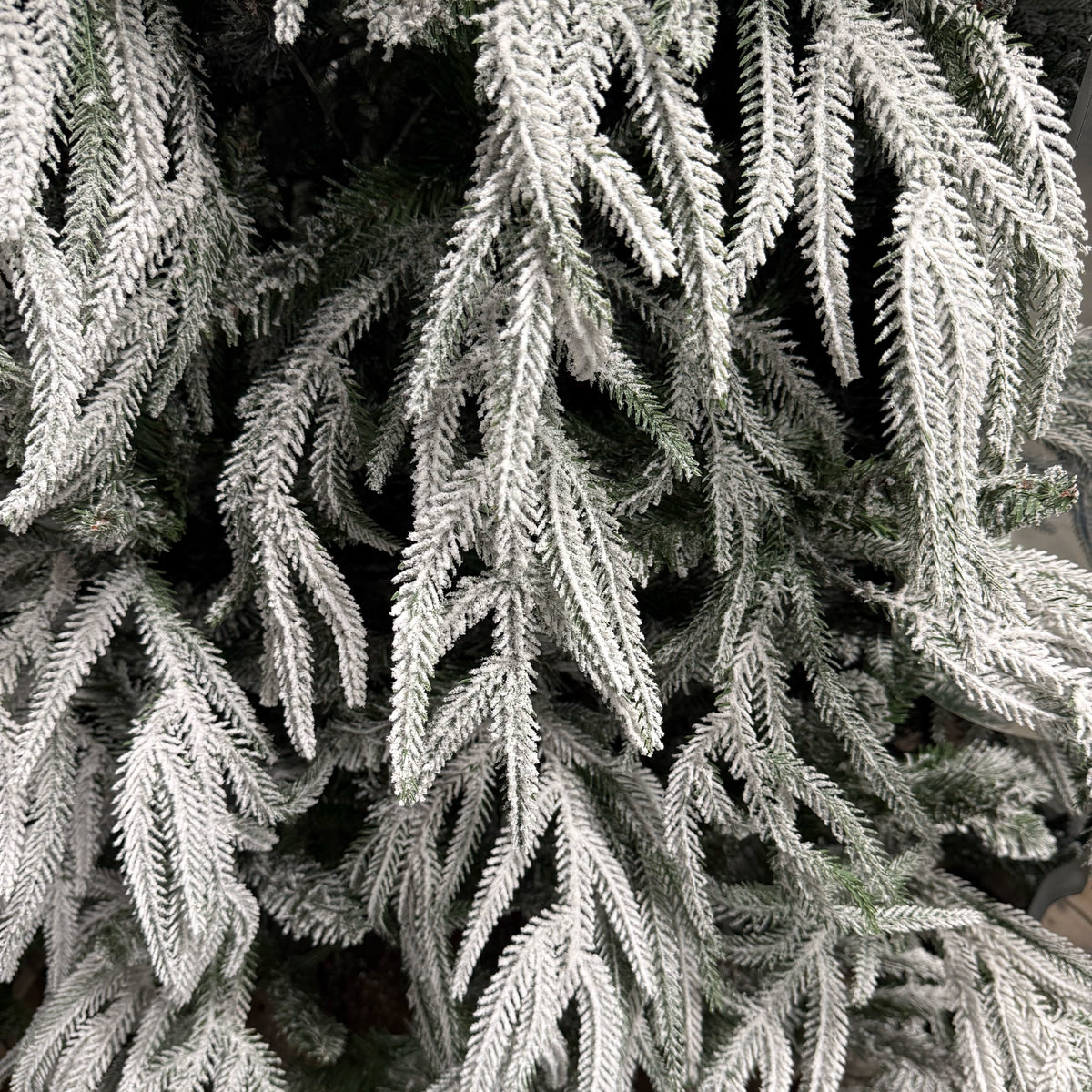 FLRCRYSTAL180_0x000000003A466061.webp