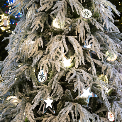 FLRCRYSTAL210_0x000000003A466199.webp