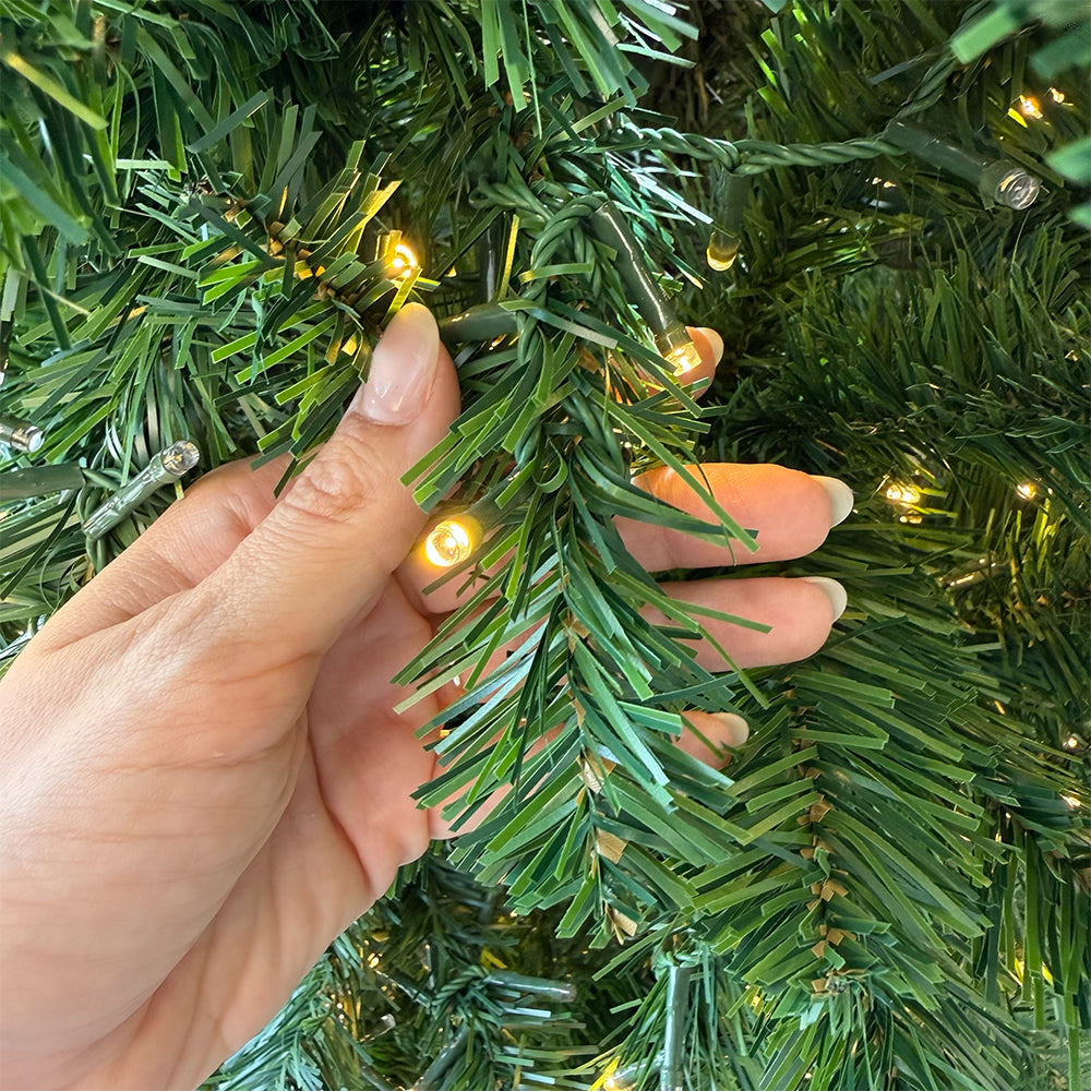 FLRGRINCHWW180_0x000000003A4696E8.webp
