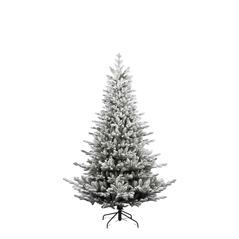 FLRNOELFLOCK210_0x0000000035373F52.jpg
