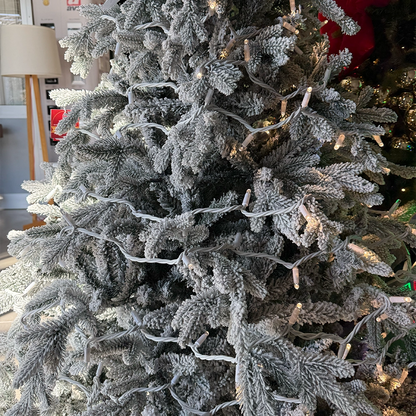 FLRNOELFLOCK240_0x000000003A469794.webp