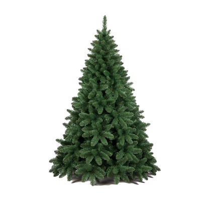 FLRPICCA270_0x000000000D6F0936.webp