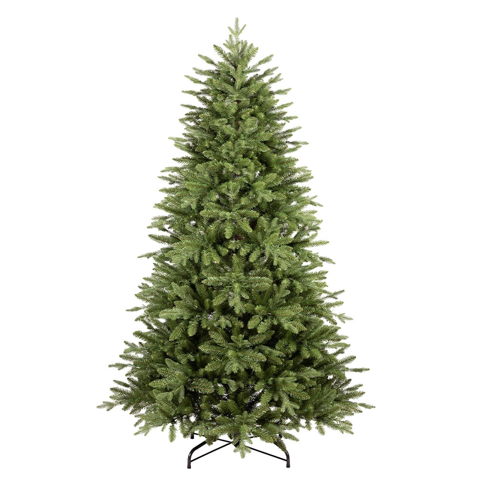 FLRRIO300_0x000000003A4661C7.webp