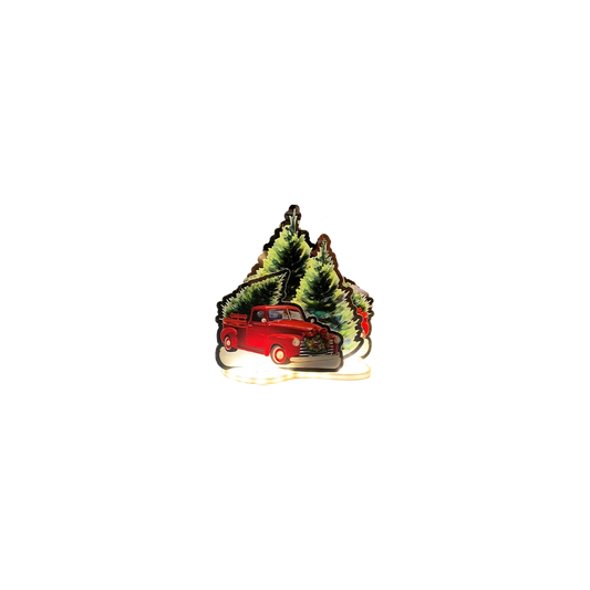 Pick-Up 30 cm luminoso con LED e Trasformatore