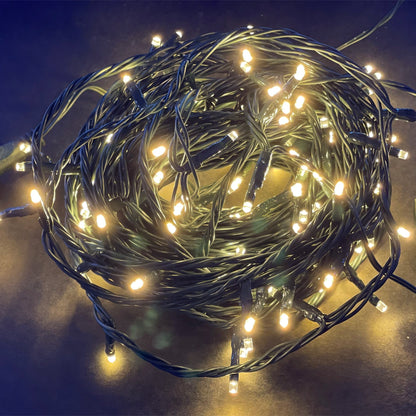 Luci Natalizie 120 LED Bianchi a luce fissa