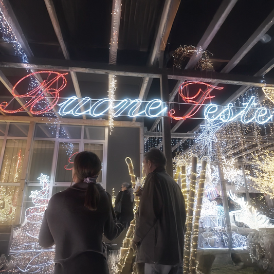 Scritta Luminosa "Buone Feste" Bianca a LED