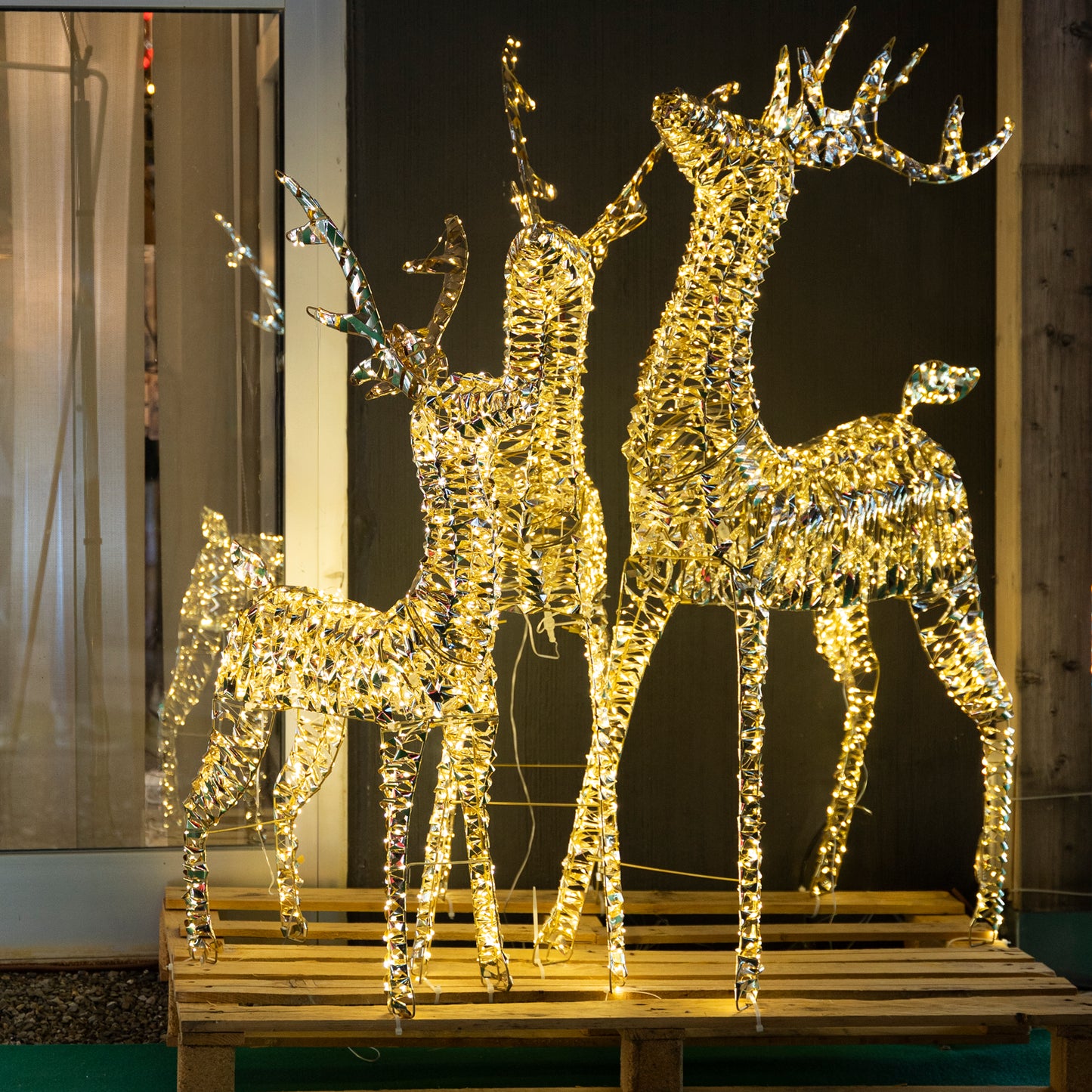 Renna luminosa Prestige effetto Rainbow con 600 gocce di LED colorati