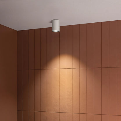AGO UP Lombardo LL12640 - Plafoniera LED Esterno Cilindrica 4000K