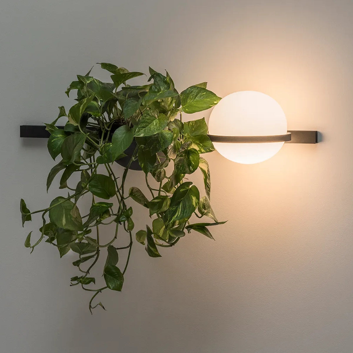 PALMA Vibia 3702 - Applique a parete con fioriera e due sfere LED