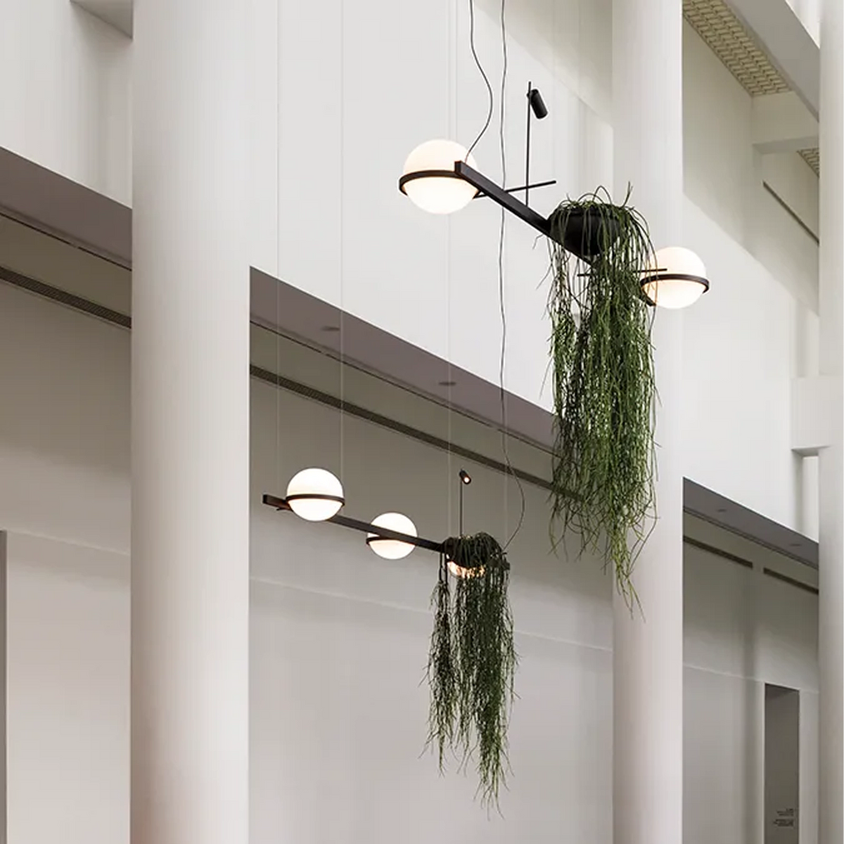 PALMA Vibia - Lampada a sospensione con fioriera e 3 sfere LED