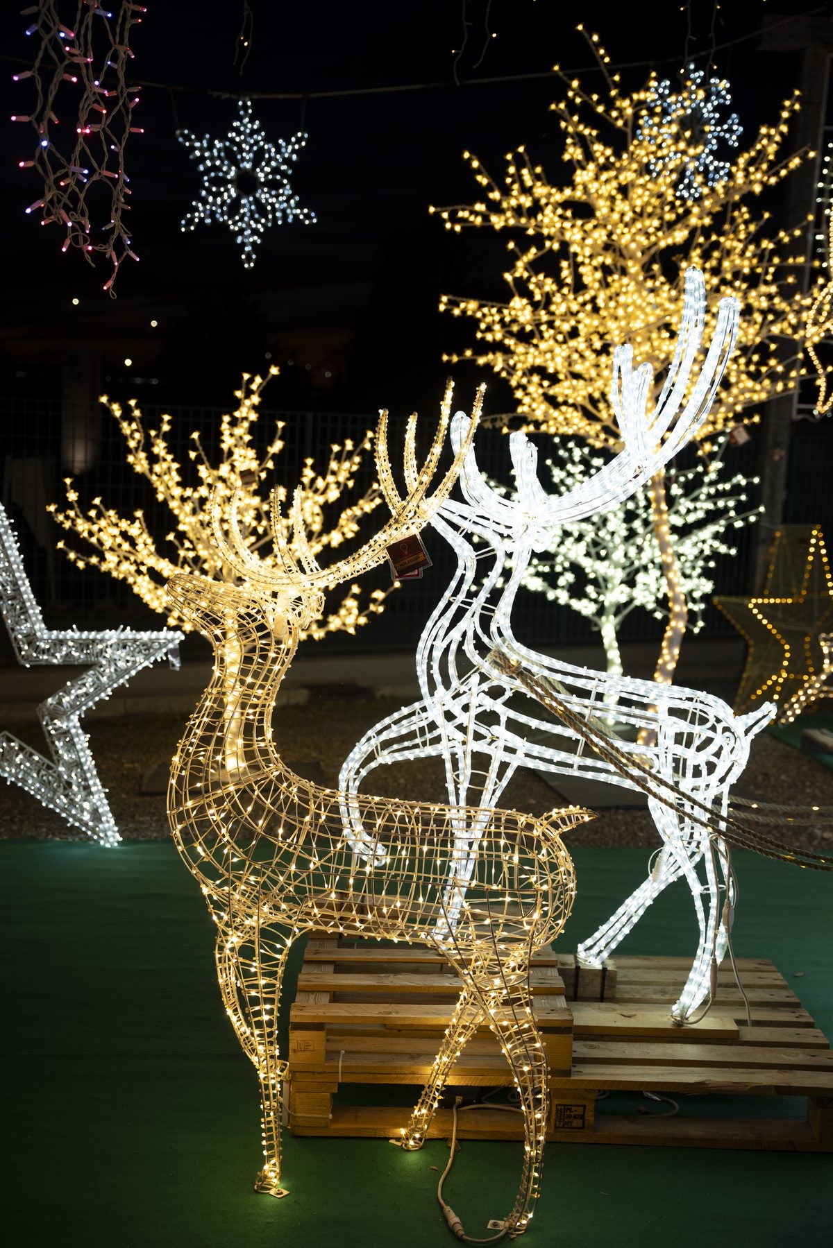 Renne luminose esposte all'esterno